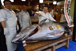 Per Naujųjų metų aukcioną Japonijoje tunas parduotas už daugiau nei 270 tūkst. JAV dolerių