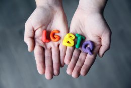 Neatmetama idėja partnerystės iniciatyvą įteisinti Vilniaus miesto savivaldybės lygiu