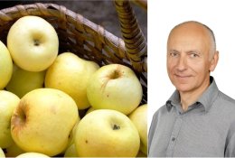 Paveldo sodai – mūsų istorija ir šiandiena