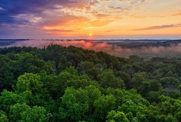 Nyksta daugiau nei trečdalis Amazonės atogrąžų miškų