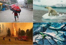 Klimato kaita: sėdime ant šakos, kurią patys kertame