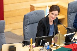 V. Čmilytė-Nielsen suabejojo VRK kompetencijomis sklandžiai organizuoti rinkimus: gali būti keliamas J. Petkevičienės likimo poste klausimas