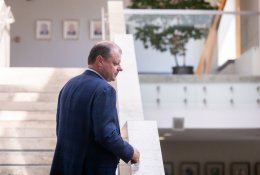S. Skvernelis: vokiečių brigados dislokavimo reikia siekti diplomatinėmis priemonėmis, o ne šantažuoti savo partnerius