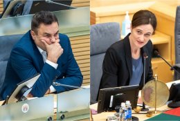 V. Čmilytė-Nielsen apie P. Gražuliui gresiančią apkaltą: gali baigtis visaip