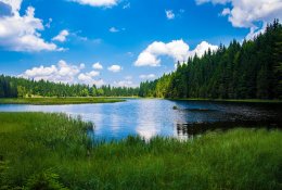 Daugiau nei pusė pasaulio ežerų netenka vandens