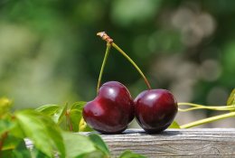 Dietologė ragina skanauti trešnes: naudingos skaidulomis ir vitaminu C