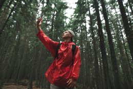 Kaip pasiklydus miške rasti kelią atgal į civilizaciją?