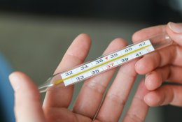 Rudens ligos įsibėgėja: kaip sukarščiavus atskirti, koks tai virusas?