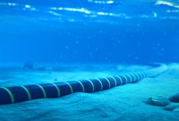 Prezidento patarėjas: svarstymai elektros kabelį „Harmony Link“ tiesti sausuma – geros žinios