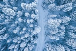 Šių metų sausis – šalčiausias nuo 2016-ųjų