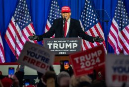 Respublikonų senatorius ramina: D. Trumpas neapleis NATO