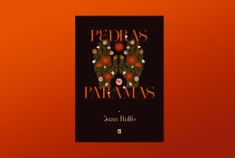 Perleistas pamatus magiškajam realizmui padėjęs romanas „Pedras Paramas“