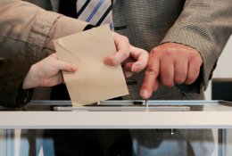 Dalyvauti gegužę vyksiančiame referendume registravosi beveik 50 tūkst. užsienio lietuvių
