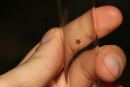 Laimo liga gali sukelti negalią visam gyvenimui. Kaip to išvengti?