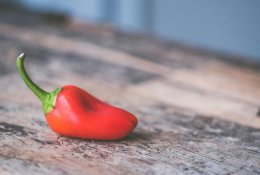 Vazonuose vietoj gėlių – paprikos: 5 patarimai, kaip sėkmingai auginti