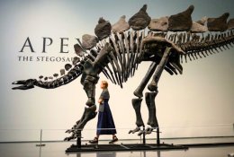 Už 150 mln. senumo dinozauro skeletą – įspūdinga suma
