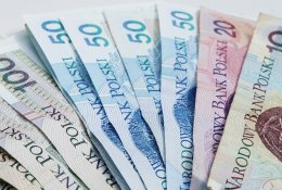 Lenkai ir toliau nenori euro: palaikymas dar labiau sumenko