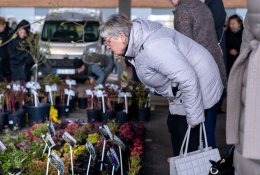 Aktualu sodininkams: prie Klaipėdos ir Vilniaus „Akropolių“ vyks Didžioji sodinukų mugė