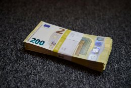 Ragina Seimą kol kas nesiimti mokesčių reformos: geriau nekartoti Estijos padarytų klaidų
