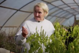 Bazilikų ūkio įkūrėja Rosita Liubomirskienė: tai yra stebuklingas augalas