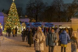 Kalėdų eglutė šiemet bus brangiausia Vilniuje, pigiausia – Klaipėdoje