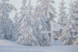 Suomijos pasididžiavimas – rūpestis žmonėmis