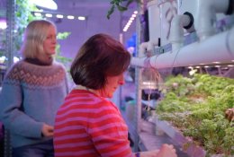 „Miesto laboratorijos“ sėkmė: Antakalnyje – tvarumo pavyzdžiai ir meilė gamtai