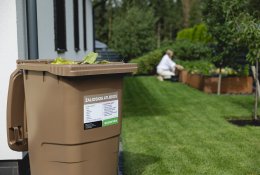 Žaliosios atliekos kiemuose ir sodybose: ką būtina atlikti pavasarį