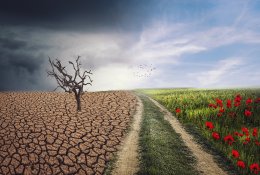 Klimato kaita – ne pasekmė, o galimybė: kodėl būtina veikti dabar