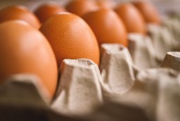 JAV administracija padavė į teismą Kaliforniją dėl kiaušinių kainų