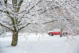 Artėjant dideliems šalčiams: kaip atsakingai naudoti elektrą ir išvengti išaugusių sąskaitų