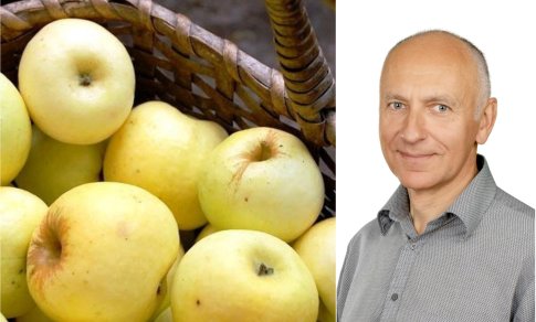 Paveldo sodai – mūsų istorija ir šiandiena
