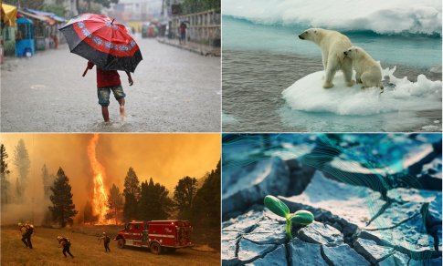 Klimato kaita: sėdime ant šakos, kurią patys kertame