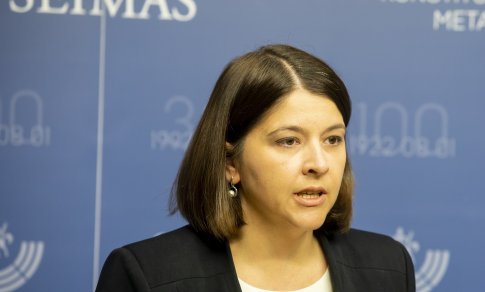 G. Skaistė: nesinorėtų galvoti, kad prestižinių profesijų atstovai keliaus į šešėlį