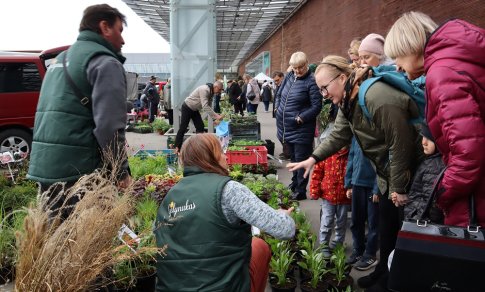 Į Vilnių sugrįžta Didžioji sodinukų mugė: lankytojams siūlys ir tradicinių, ir egzotinių augalų