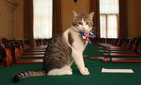 Britų vyriausybei teko neigti gandus, kad pasiligojo „vyriausiasis peliautojas“ katinas Laris