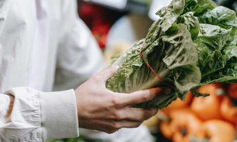Seime – naujas siūlymas įpareigoti prekybininkus dar tinkamą vartoti maistą perduoti labdarai