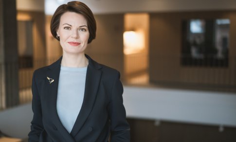 Plonoji kapitalizacija: kaip verslui nepaskęsti laviruojant tarp taisyklių ir VMI interpretacijų?