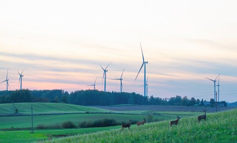 Lietuvos vėjo energetikai – 20 metų: nuo pirmųjų žingsnių iki energetinės nepriklausomybės
