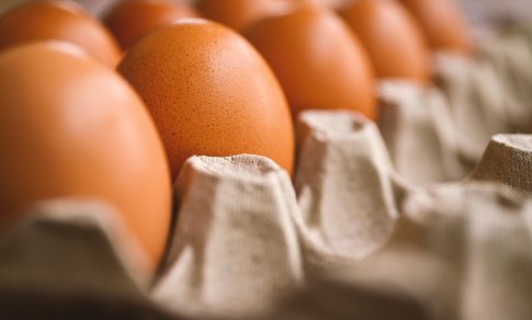 Lietuvoje greičiausiai augs kiaušinių kainos