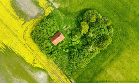 Būsto paieškos regionuose: žmonės ieško ramybės, saugumo ir gamtos