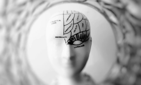 Neuromokslo atradimai: kaip veikia smegenys, kai ilsisi