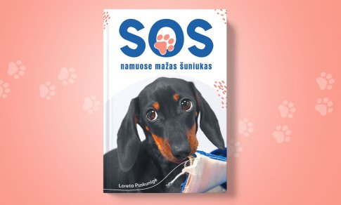 SOS: namuose mažas šuniukas