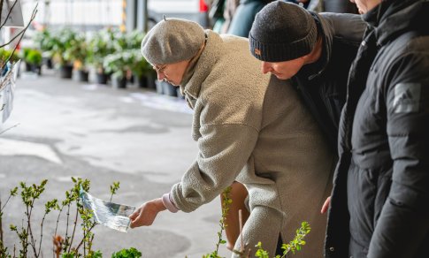 Balandį – Didžioji sodinukų mugė
