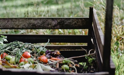 Specialisto patarimai: kaip teisingai kompostuoti žaliąsias atliekas?