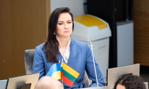 Ruginienė: Europos interesas yra kuo greičiau atlaisvinti Hormuzo sąsiaurį