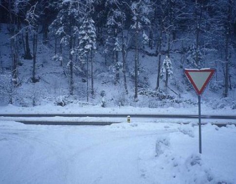 Šiauliečiai savivaldybei rengia kolektyvinį ieškinį dėl nenuvalytų gatvių