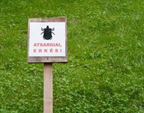 Atsargiai: piktosios erkės jau pabudo