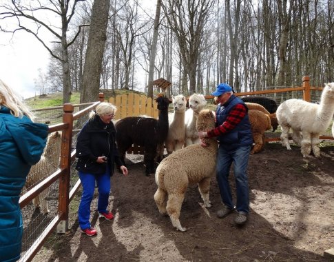 Andų kalnų gražuoles pamilo ir lietuviai