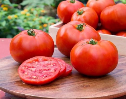 Gardžiausi pomidorai – tiesiai iš daržo